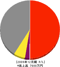 辰己建設 損益計算書 2009年12月期 辰己建設 損益計算書 2009年12月期