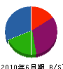 槌屋実業 貸借対照表 2010年6月期 槌屋実業 貸借対照表 2010年6月期