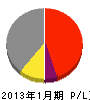 ネオ化工 損益計算書 2013年1月期 ネオ化工 損益計算書 2013年1月期