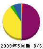 中野電業 貸借対照表 2009年5月期 中野電業 貸借対照表 2009年5月期