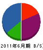 槌屋実業 貸借対照表 2011年6月期 槌屋実業 貸借対照表 2011年6月期