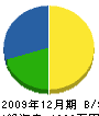 関西住建 貸借対照表 2009年12月期 関西住建 貸借対照表 2009年12月期