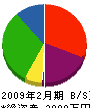 南陽電気 貸借対照表 2009年2月期 南陽電気 貸借対照表 2009年2月期