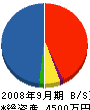道栄建設 貸借対照表 2008年9月期 道栄建設 貸借対照表 2008年9月期