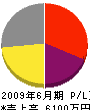 曙電気工事 損益計算書 2009年6月期 曙電気工事 損益計算書 2009年6月期