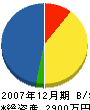 中村設備 貸借対照表 2007年12月期 中村設備 貸借対照表 2007年12月期