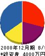 大道設備工業 貸借対照表 2008年12月期 大道設備工業 貸借対照表 2008年12月期