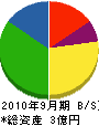 上田屋商会 貸借対照表 2010年9月期 上田屋商会 貸借対照表 2010年9月期