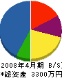 北川 貸借対照表 2008年4月期 北川 貸借対照表 2008年4月期