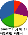ビケンテック 貸借対照表 2008年11月期 ビケンテック 貸借対照表 2008年11月期