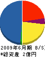 アルファー企業 貸借対照表 2009年6月期 アルファー企業 貸借対照表 2009年6月期