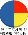 堀越工業所 貸借対照表 2011年12月期 堀越工業所 貸借対照表 2011年12月期