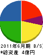 白川建設 貸借対照表 2011年6月期 白川建設 貸借対照表 2011年6月期