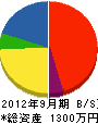 加木屋電機 貸借対照表 2012年9月期 加木屋電機 貸借対照表 2012年9月期