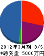 ウェルテック 貸借対照表 2012年3月期 ウェルテック 貸借対照表 2012年3月期