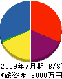若尾建設 貸借対照表 2009年7月期 若尾建設 貸借対照表 2009年7月期