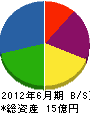 丸翔建設 貸借対照表 2012年6月期 丸翔建設 貸借対照表 2012年6月期