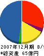 ブリヂストンIPS 貸借対照表 2007年12月期 ブリヂストンIPS 貸借対照表 2007年12月期