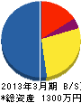 ファインパワー 貸借対照表 2013年3月期 ファインパワー 貸借対照表 2013年3月期