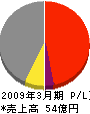 日東工営 損益計算書 2009年3月期 日東工営 損益計算書 2009年3月期