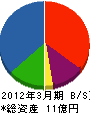 丸芝 貸借対照表 2012年3月期 丸芝 貸借対照表 2012年3月期