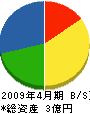 大陽塗装工業 貸借対照表 2009年4月期 大陽塗装工業 貸借対照表 2009年4月期