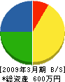 たくみ建設 貸借対照表 2009年3月期 たくみ建設 貸借対照表 2009年3月期