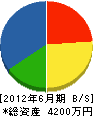 イスズ工務店 貸借対照表 2012年6月期 イスズ工務店 貸借対照表 2012年6月期