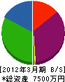 中央ビル美装 貸借対照表 2012年3月期 中央ビル美装 貸借対照表 2012年3月期