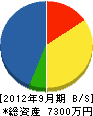 ウォールテクニカ 貸借対照表 2012年9月期 ウォールテクニカ 貸借対照表 2012年9月期