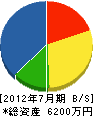 新和電機 貸借対照表 2012年7月期 新和電機 貸借対照表 2012年7月期