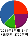協栄工業 貸借対照表 2011年6月期 協栄工業 貸借対照表 2011年6月期