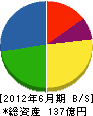 ライクス 貸借対照表 2012年6月期 ライクス 貸借対照表 2012年6月期