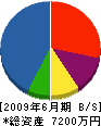 渡辺土木 貸借対照表 2009年6月期 渡辺土木 貸借対照表 2009年6月期