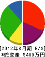 フジ建材 貸借対照表 2012年6月期 フジ建材 貸借対照表 2012年6月期