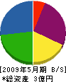 久保田塗装 貸借対照表 2009年5月期 久保田塗装 貸借対照表 2009年5月期