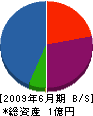 イオ・ネットワーク 貸借対照表 2009年6月期 イオ・ネットワーク 貸借対照表 2009年6月期