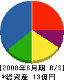 乃一塗装工業 貸借対照表 2008年6月期 乃一塗装工業 貸借対照表 2008年6月期