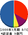 マテックス建材 貸借対照表 2008年3月期 マテックス建材 貸借対照表 2008年3月期