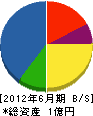 静岡塗装組 貸借対照表 2012年6月期 静岡塗装組 貸借対照表 2012年6月期