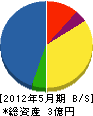 水中組 貸借対照表 2012年5月期 水中組 貸借対照表 2012年5月期