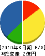 大成塗装 貸借対照表 2010年6月期 大成塗装 貸借対照表 2010年6月期