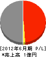 丸一開発 損益計算書 2012年6月期 丸一開発 損益計算書 2012年6月期