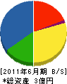 小笠原建設 貸借対照表 2011年6月期 小笠原建設 貸借対照表 2011年6月期