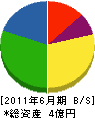 協栄エンジニアリング 貸借対照表 2011年6月期 協栄エンジニアリング 貸借対照表 2011年6月期