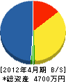 野州塗装工業 貸借対照表 2012年4月期 野州塗装工業 貸借対照表 2012年4月期