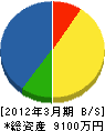 建塗装工業 貸借対照表 2012年3月期 建塗装工業 貸借対照表 2012年3月期
