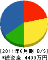 イスズ工務店 貸借対照表 2011年6月期 イスズ工務店 貸借対照表 2011年6月期