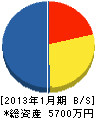 ネオ化工 貸借対照表 2013年1月期 ネオ化工 貸借対照表 2013年1月期
