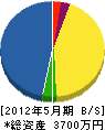 伴野土木 貸借対照表 2012年5月期 伴野土木 貸借対照表 2012年5月期